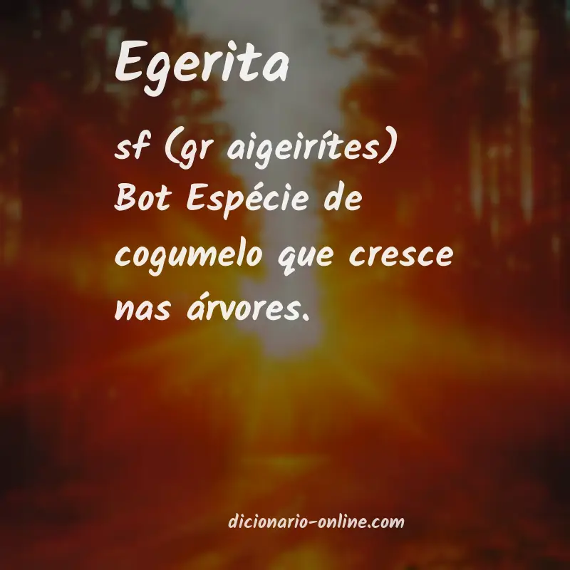 Significado de egerita