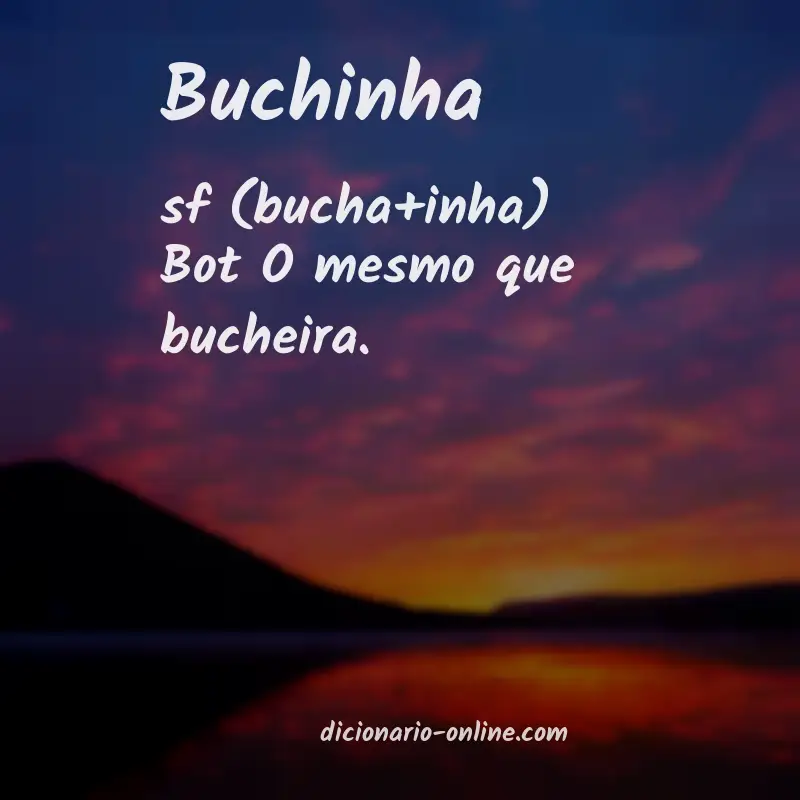 Significado de buchinha