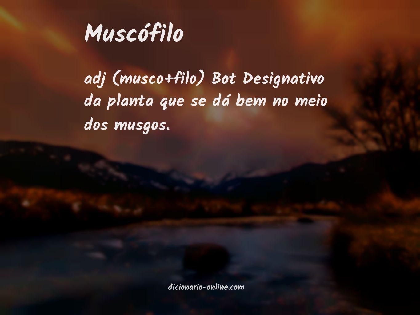 Significado de muscófilo