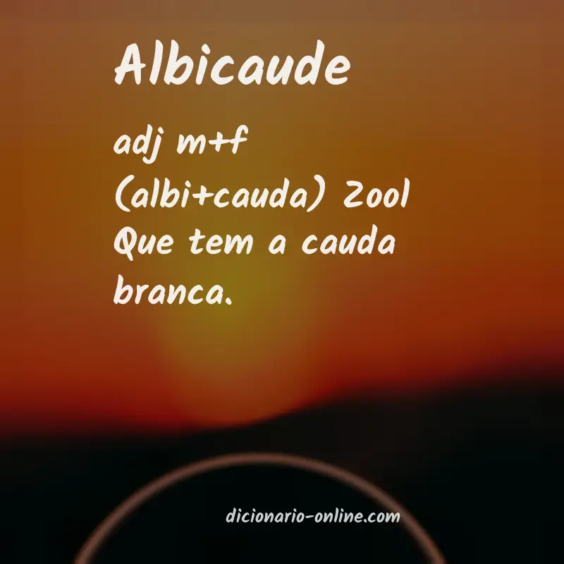 Significado de albicaude
