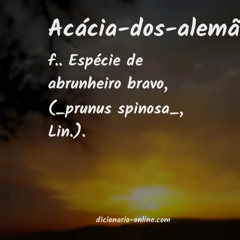 Significado de acácia-dos-alemães