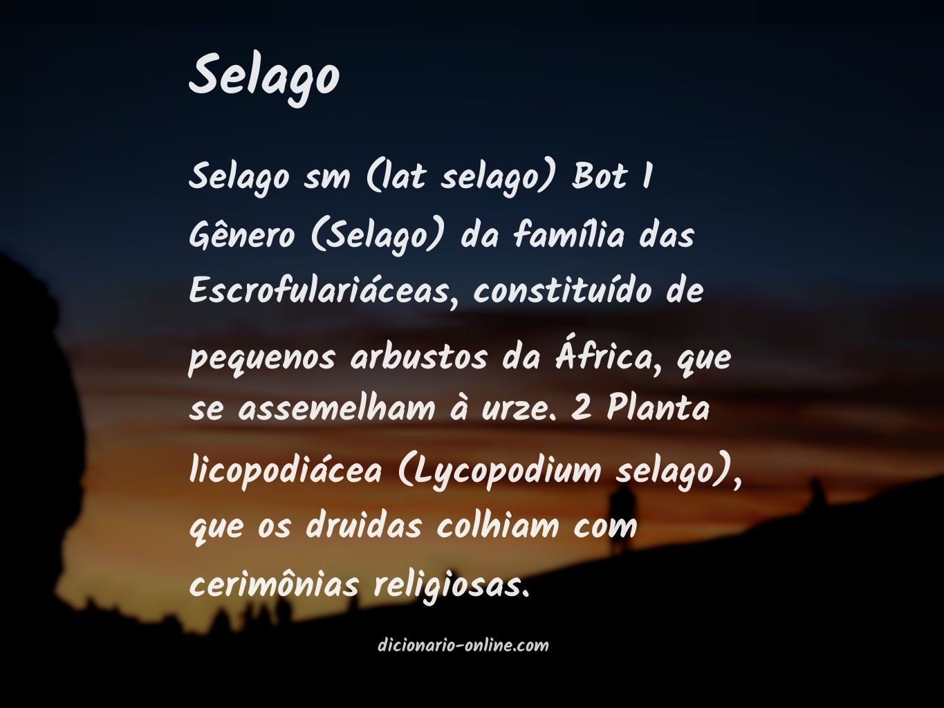 Significado de selago