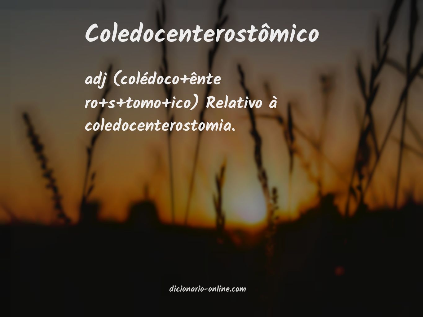 Significado de coledocenterostômico