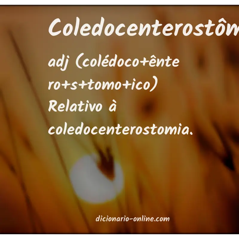 Significado de coledocenterostômico