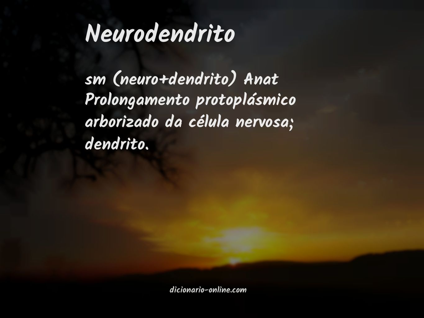 Significado de neurodendrito