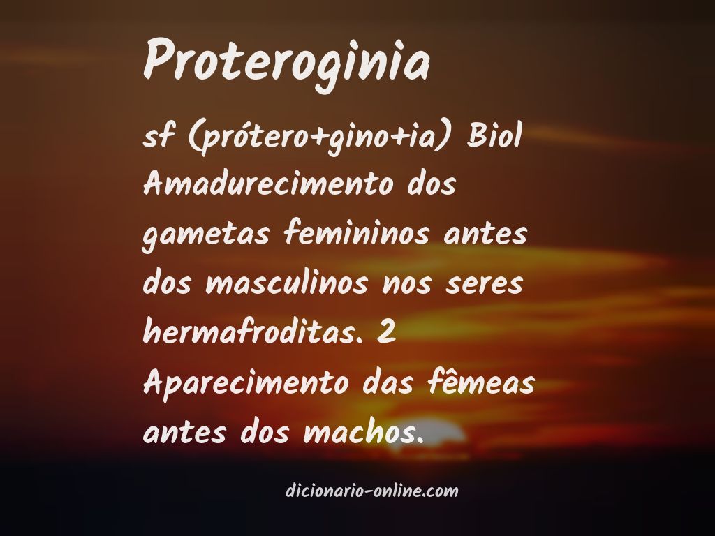 Significado de proteroginia