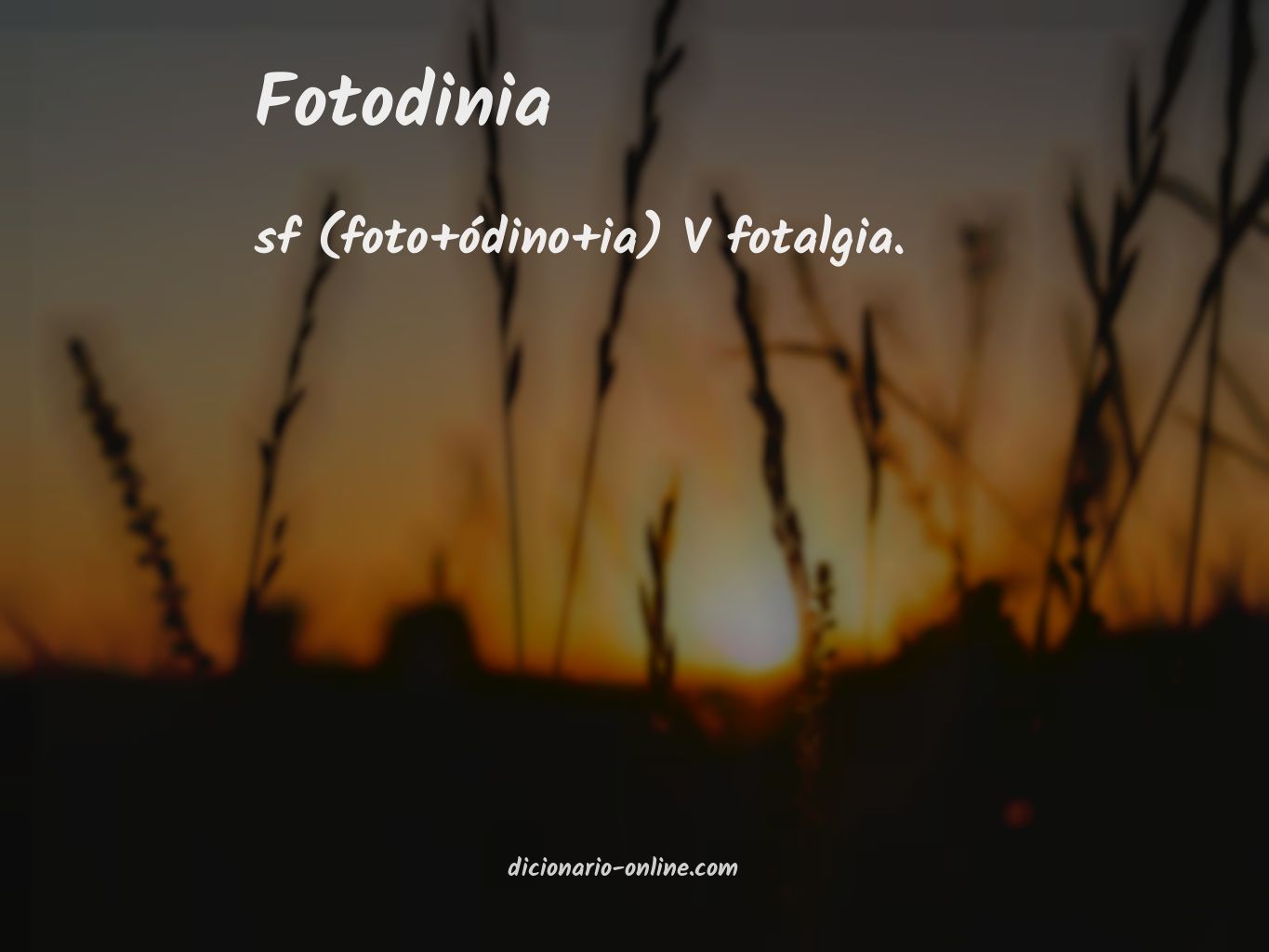 Significado de fotodinia