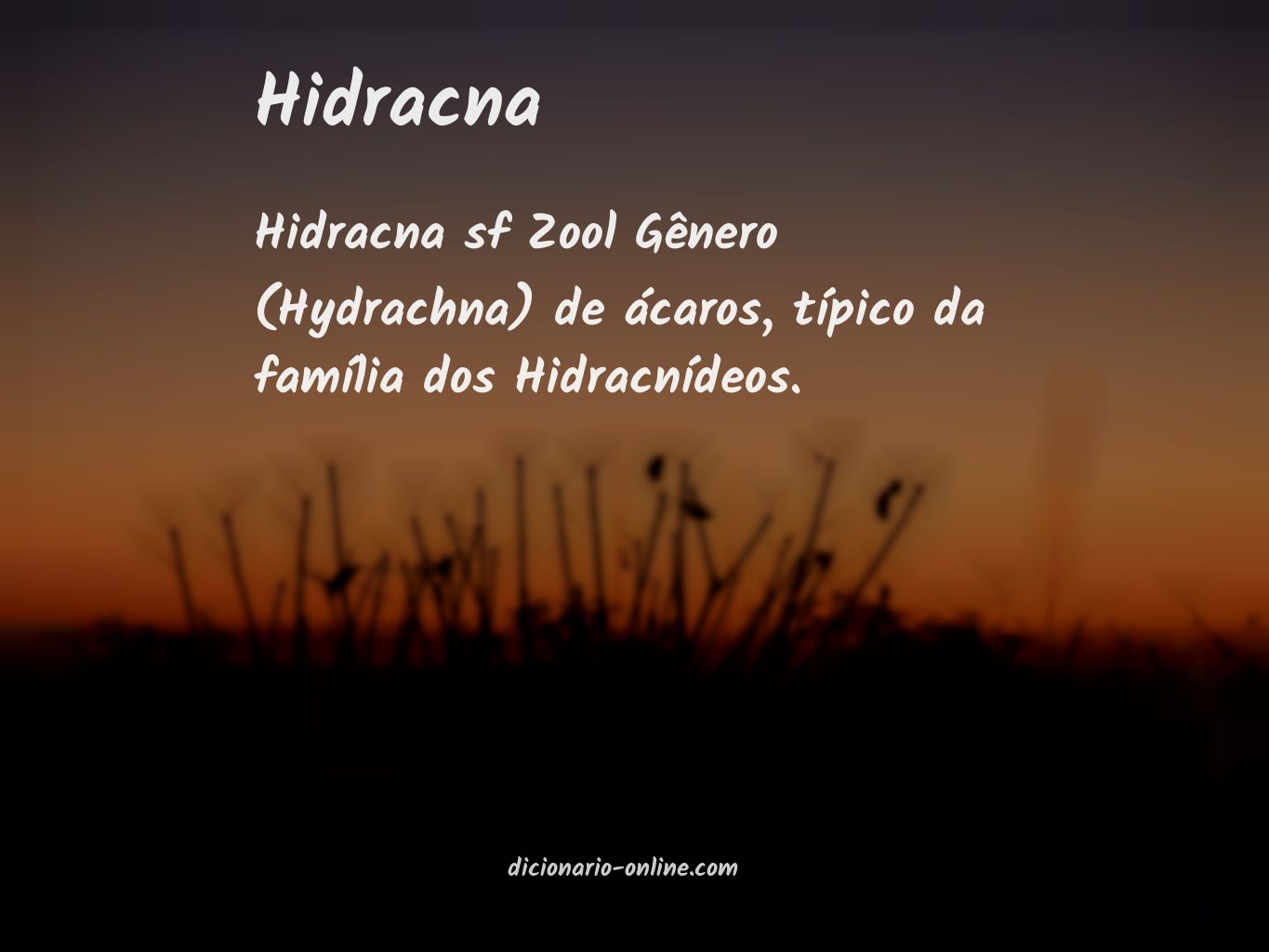 Significado de hidracna