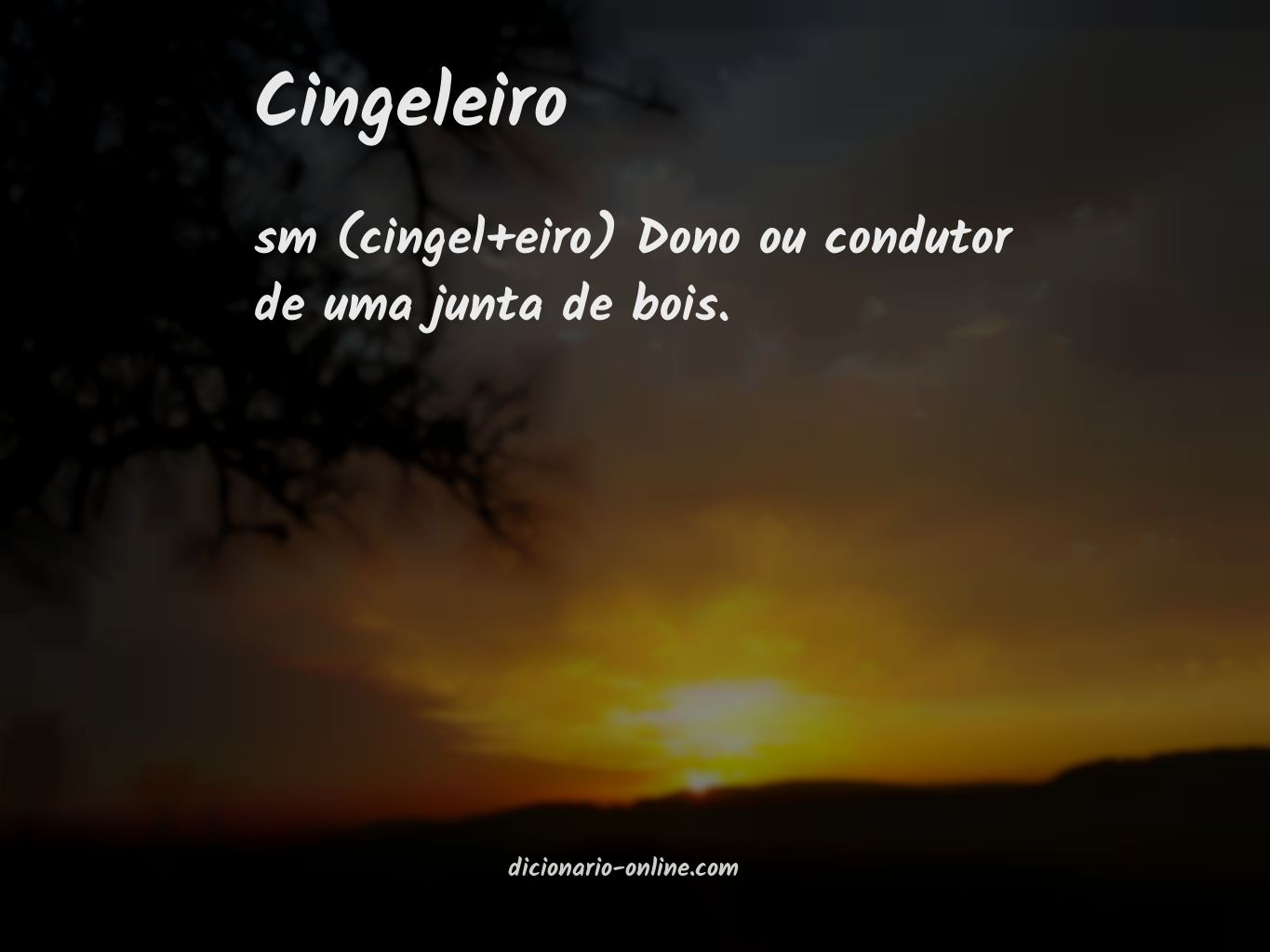 Significado de cingeleiro