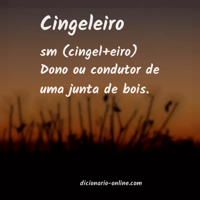 Significado de cingeleiro