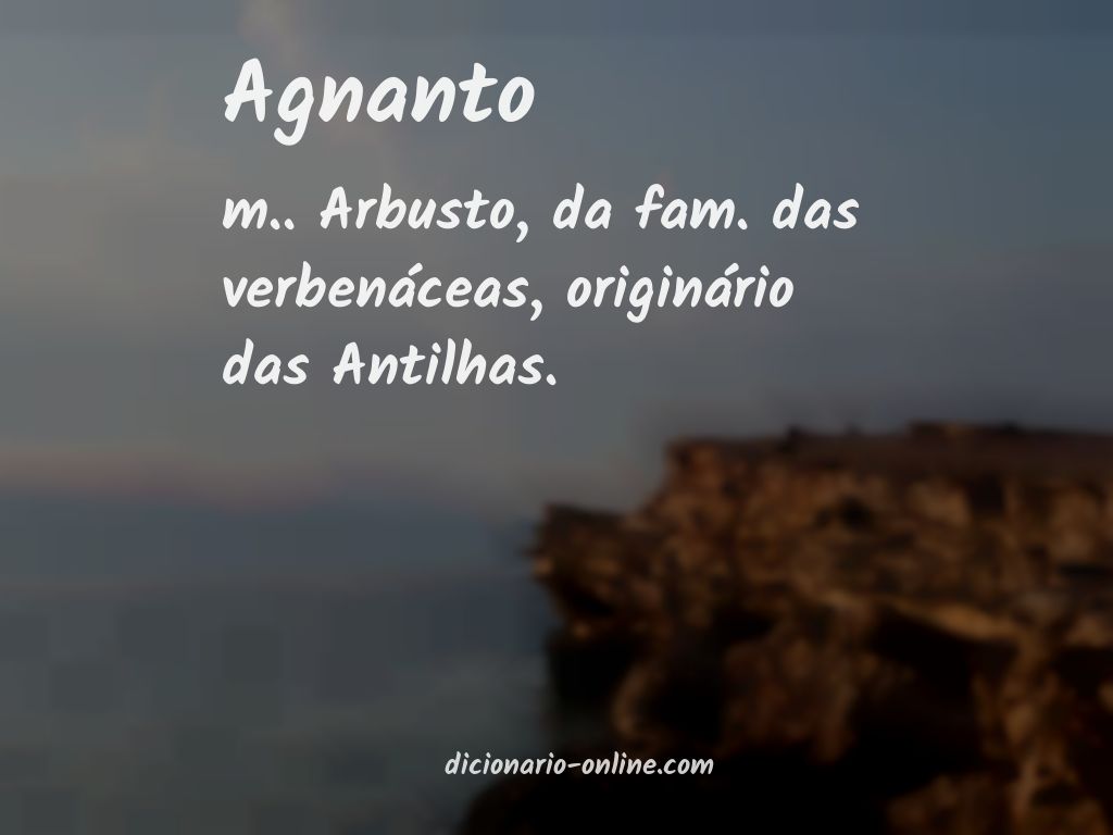 Significado de agnanto