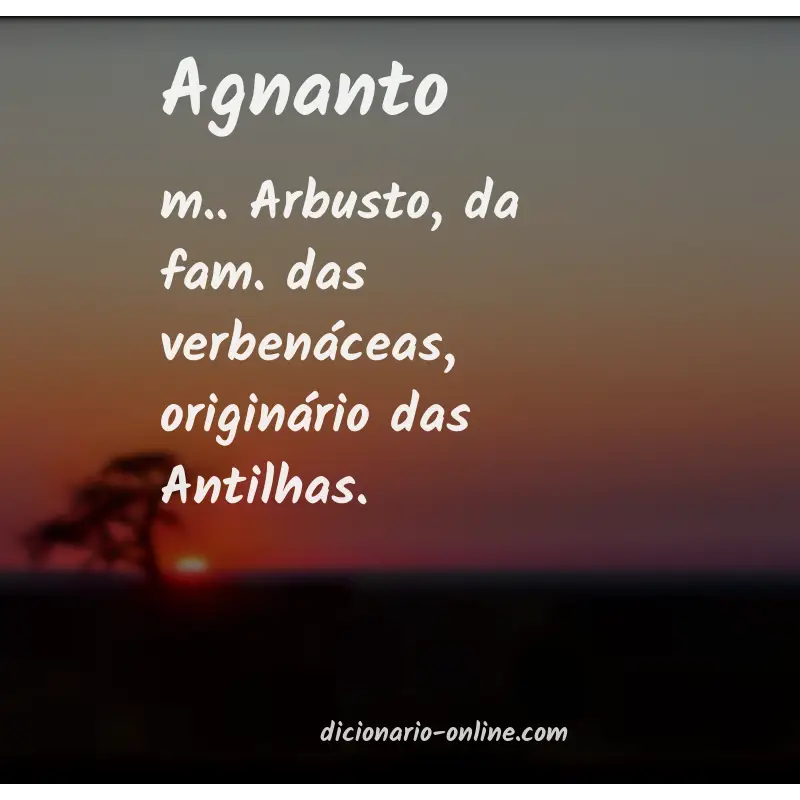 Significado de agnanto