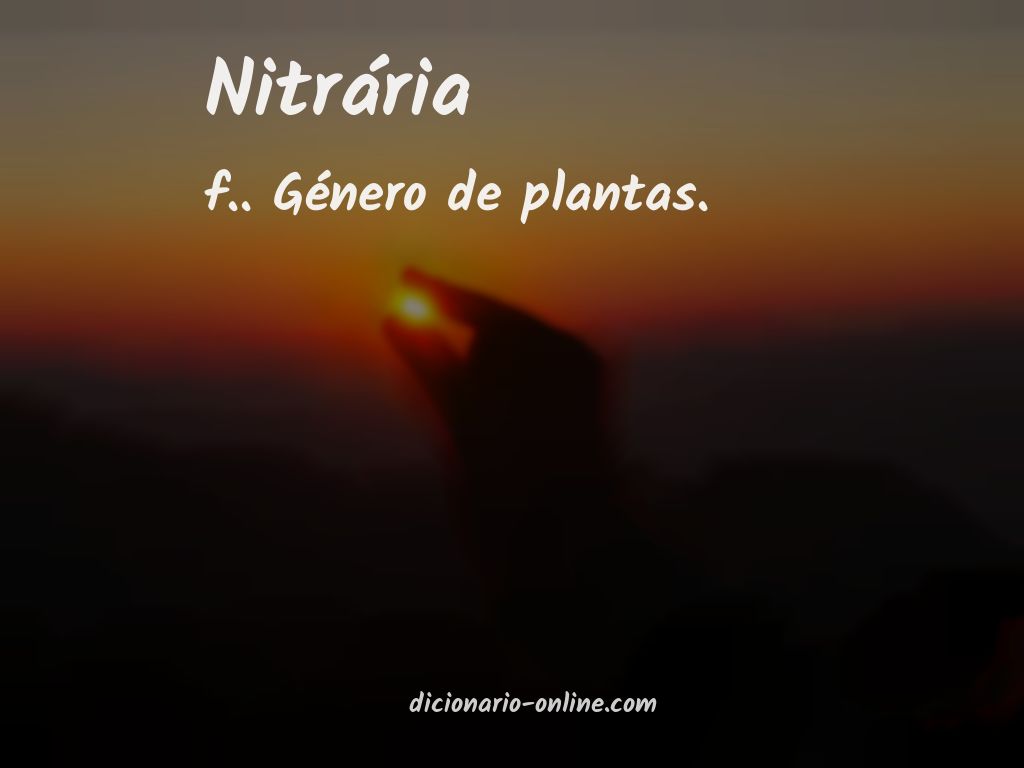 Significado de nitrária