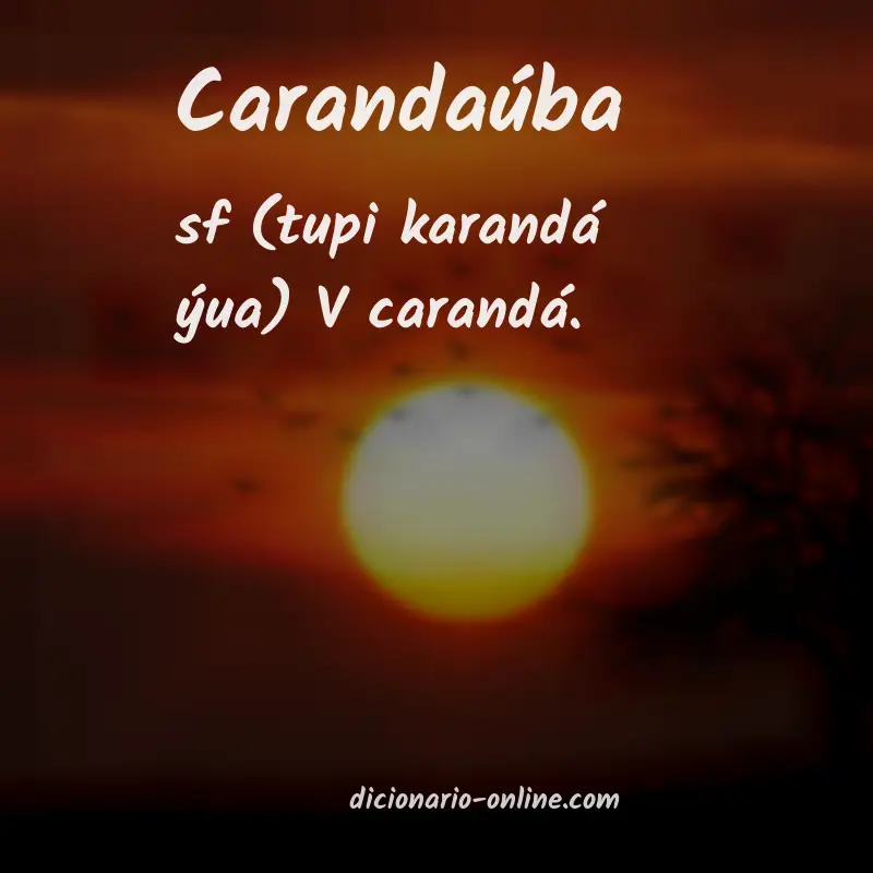 Significado de carandaúba