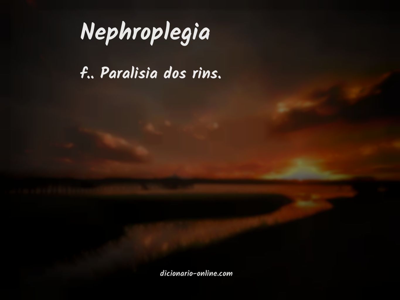 Significado de nephroplegia