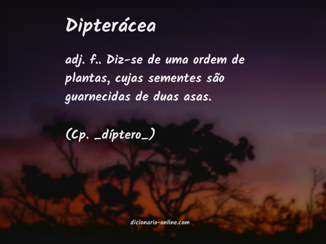 Significado de dipterácea