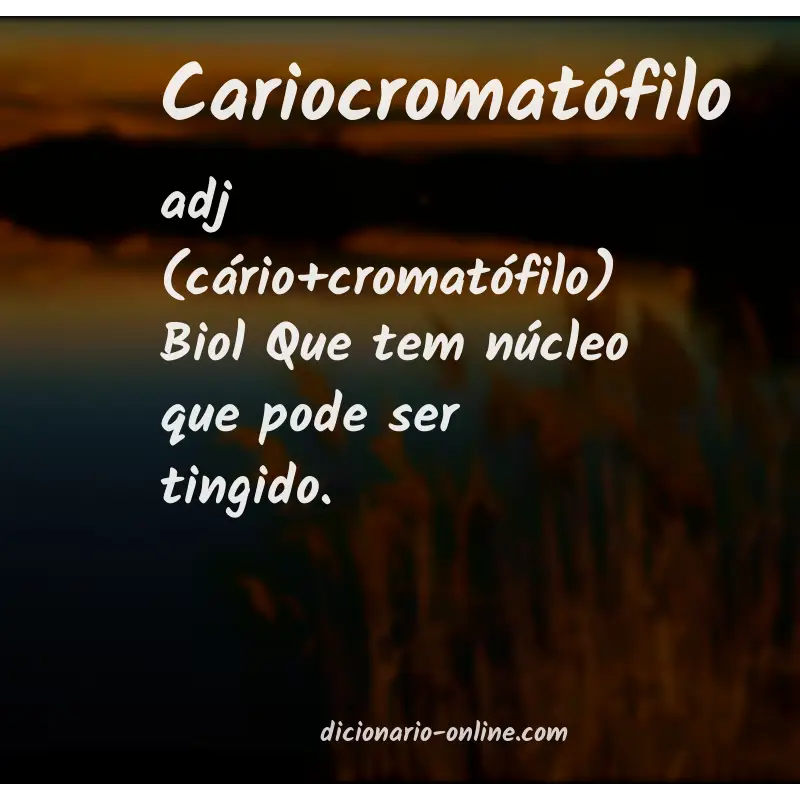 Significado de cariocromatófilo
