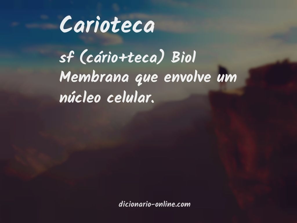 Significado de carioteca