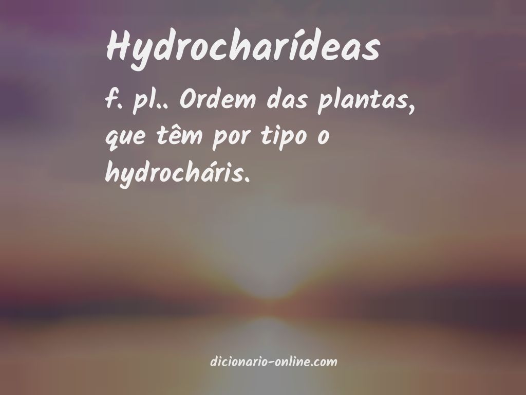 Significado de hydrocharídeas