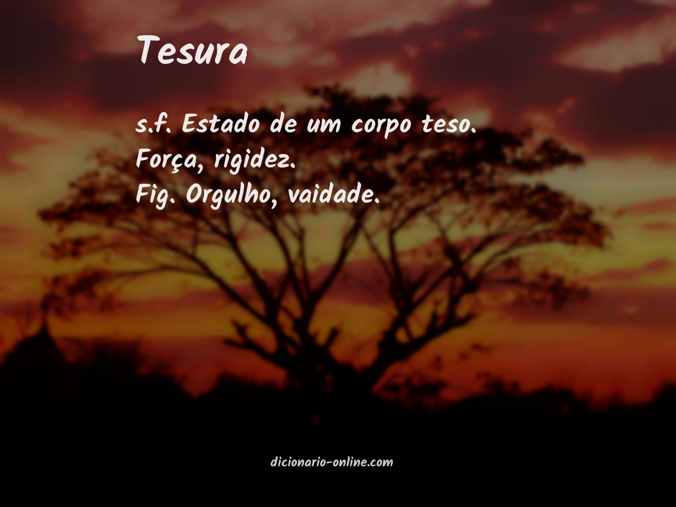 Significado de tesura