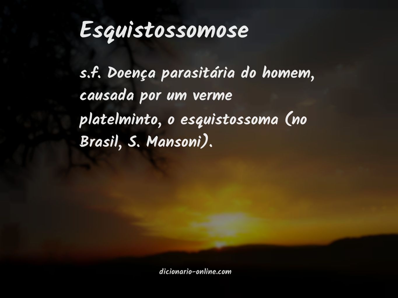 Significado de esquistossomose