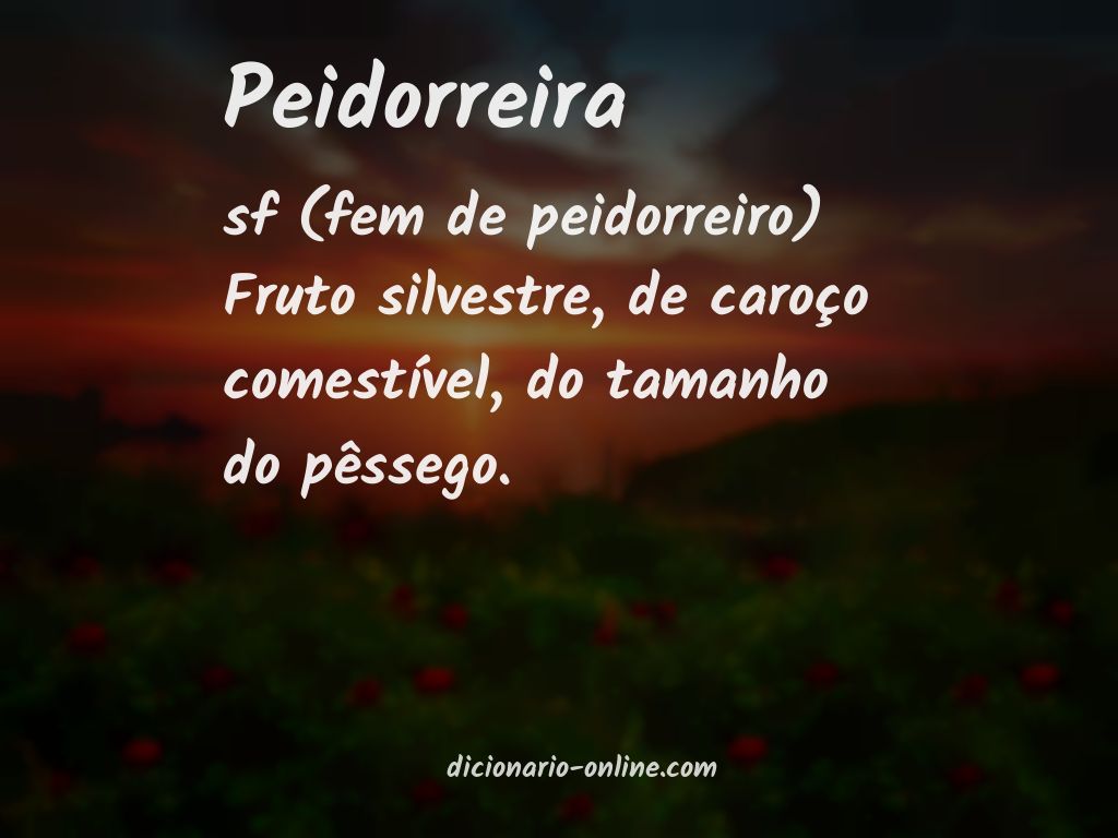 Significado de peidorreira