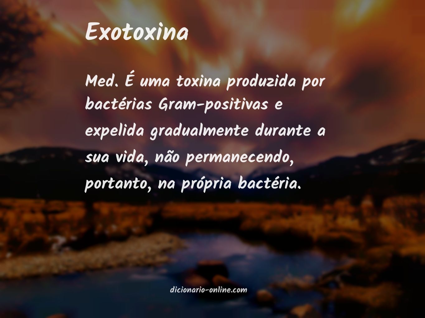 Significado de exotoxina