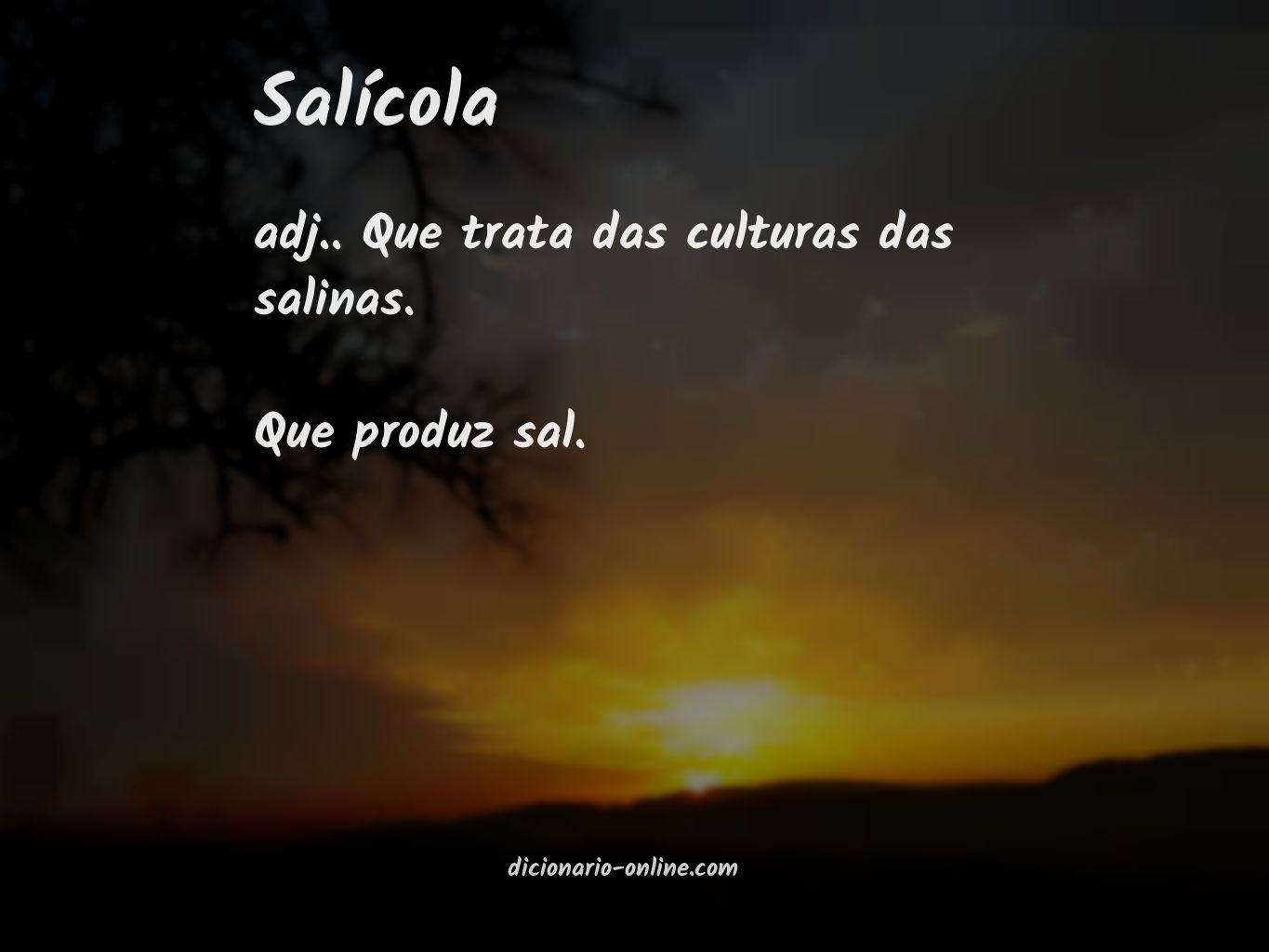 Significado de salícola