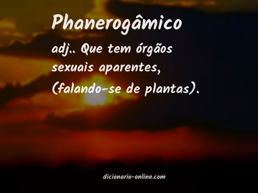 Significado de phanerogâmico