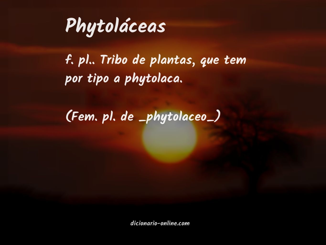 Significado de phytoláceas