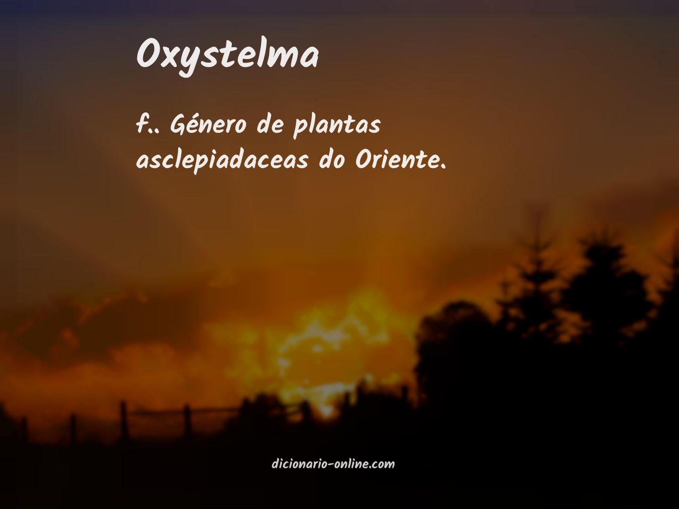 Significado de oxystelma