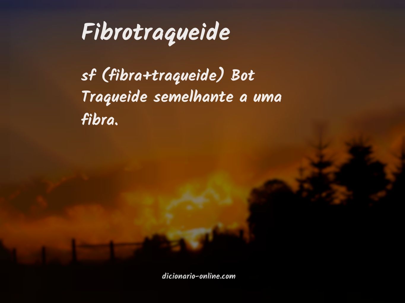 Significado de fibrotraqueide