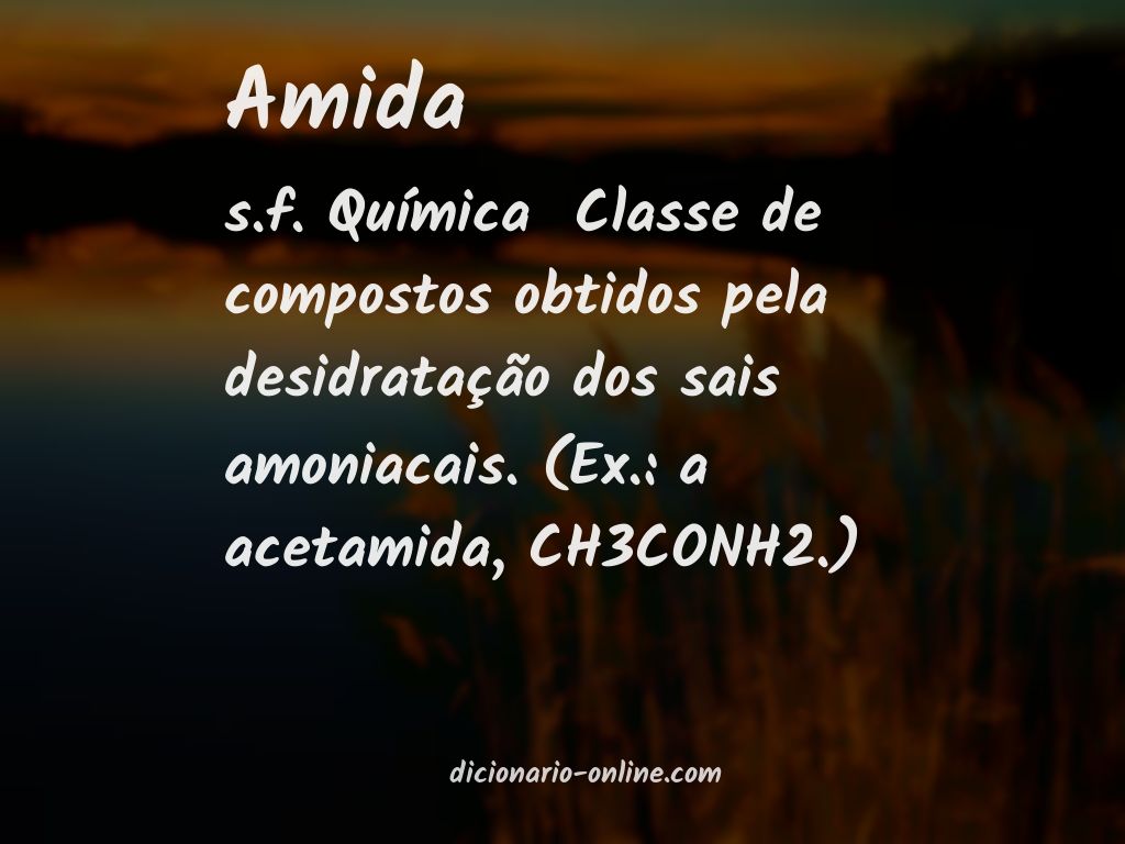 Significado de amida