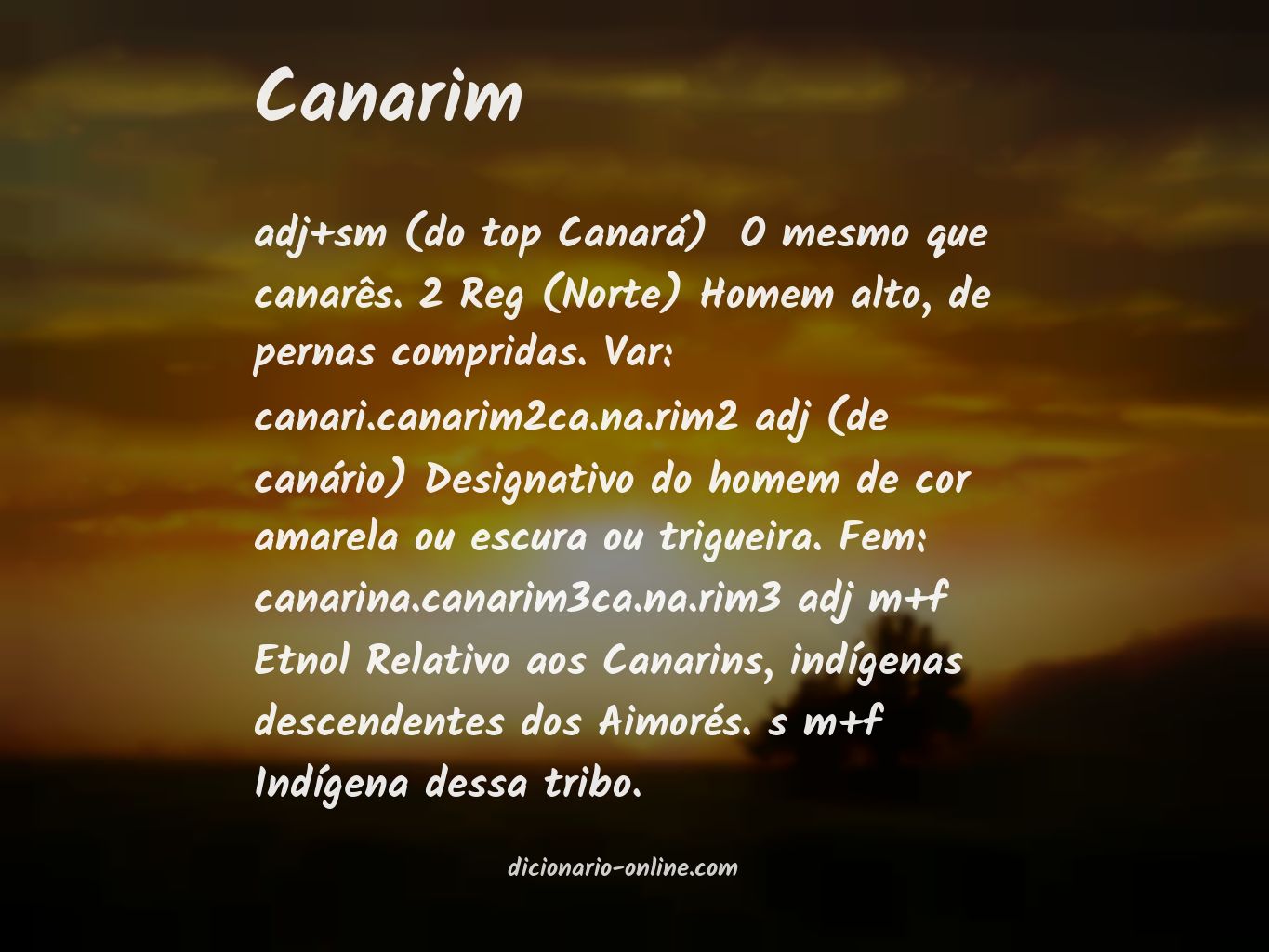 Significado de canarim