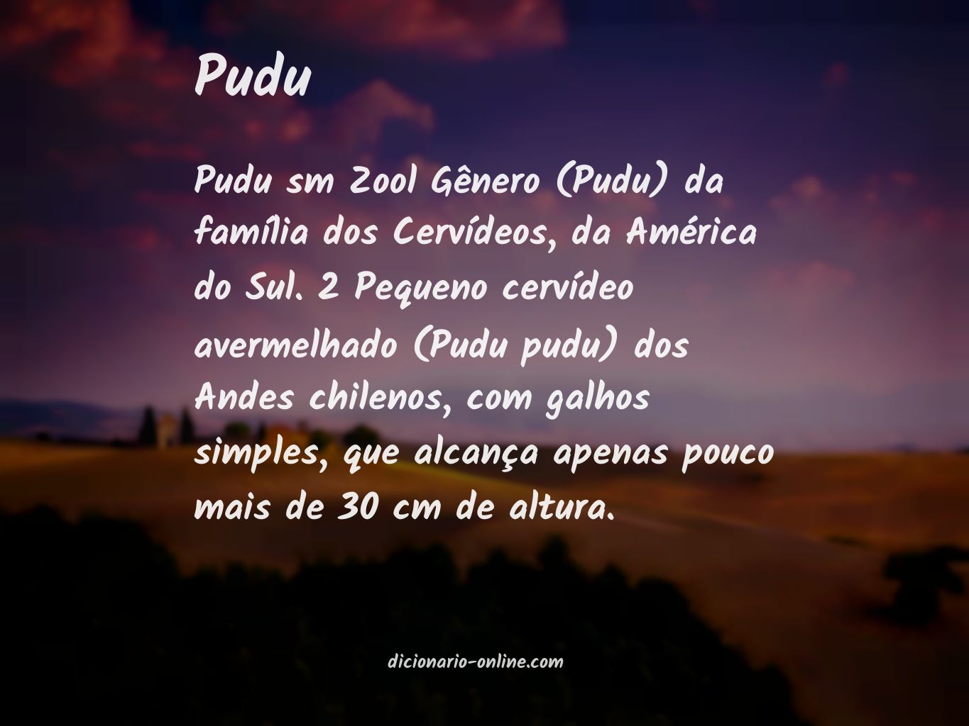 Significado de pudu