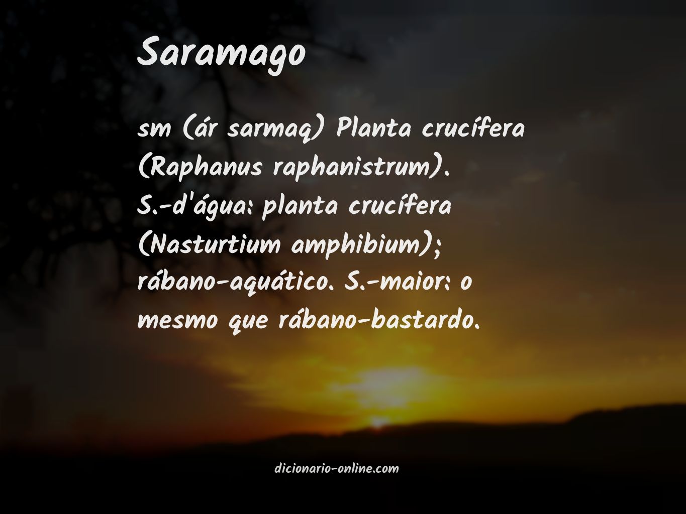 Significado de saramago