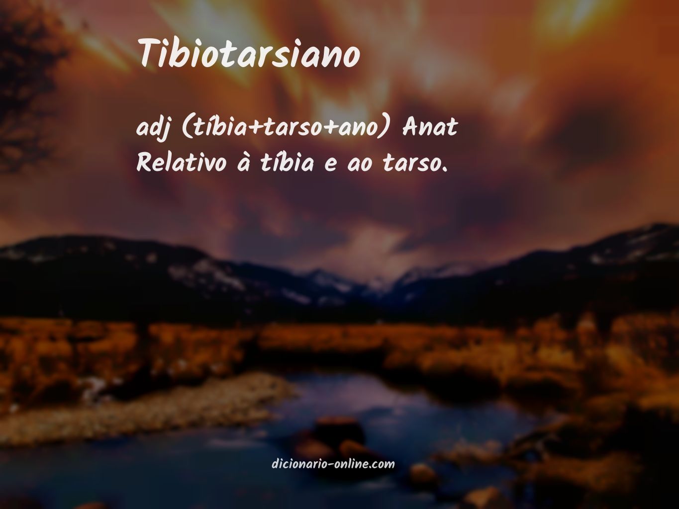 Significado de tibiotarsiano