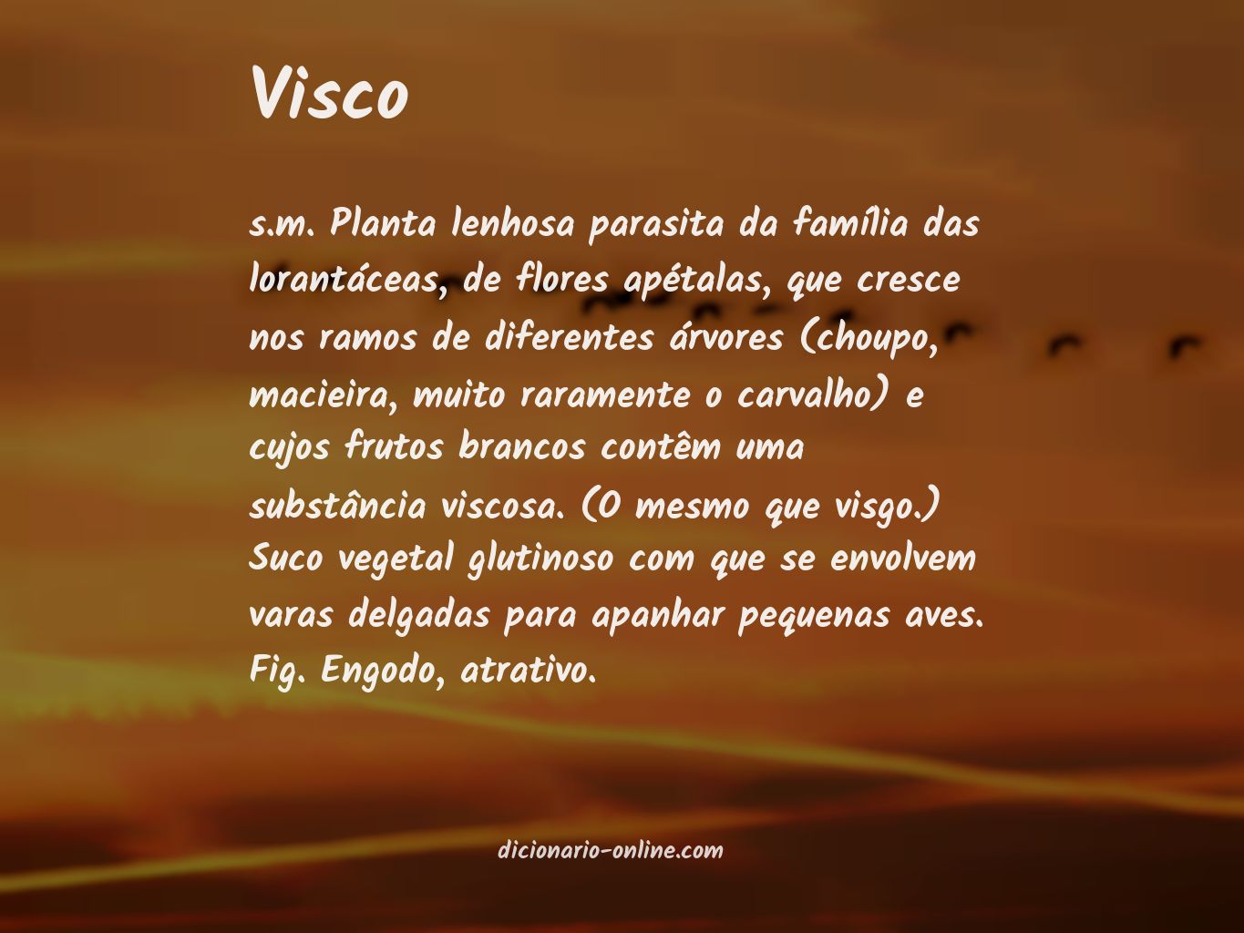 Significado de visco