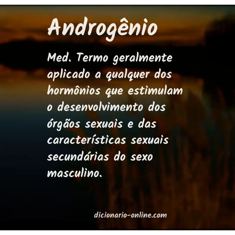 Significado de androgênio