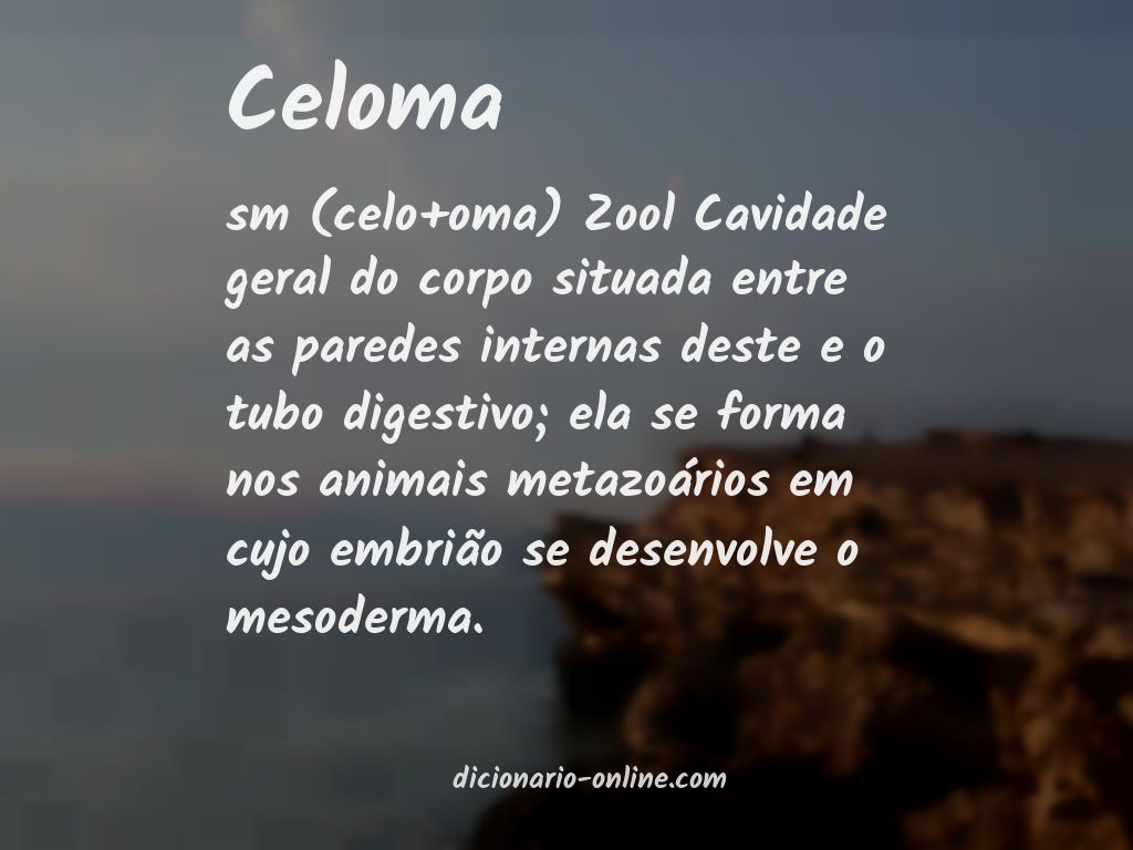 Significado de celoma