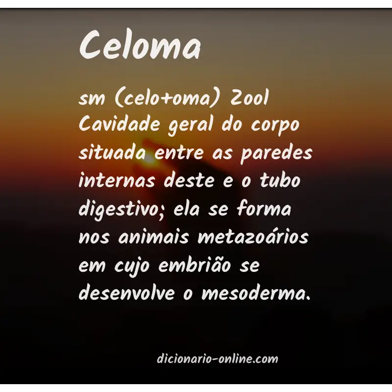 Significado de celoma