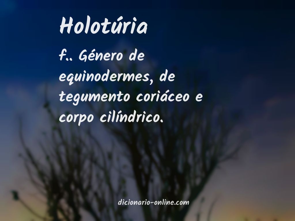 Significado de holotúria