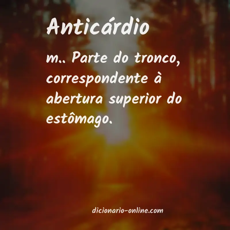 Significado de anticárdio