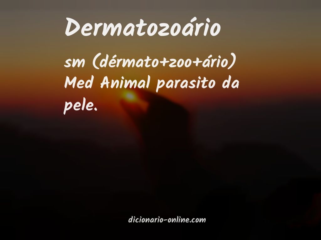 Significado de dermatozoário