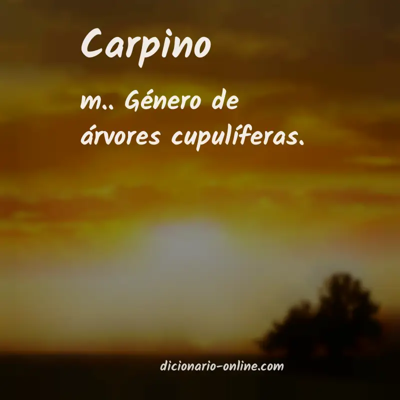 Significado de carpino