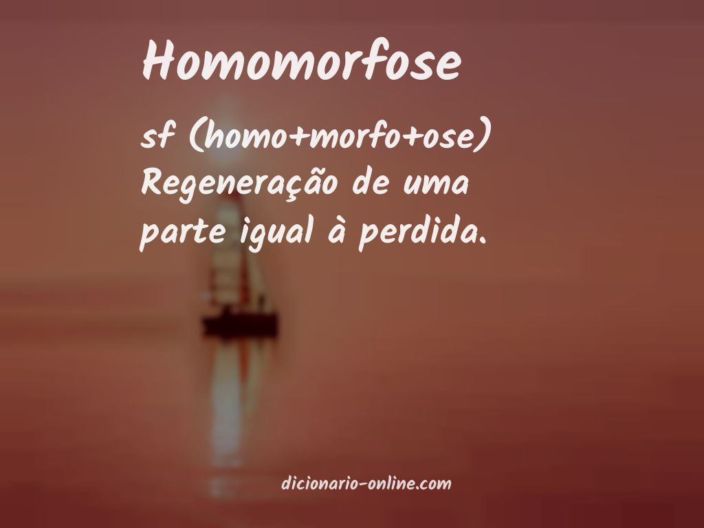 Significado de homomorfose