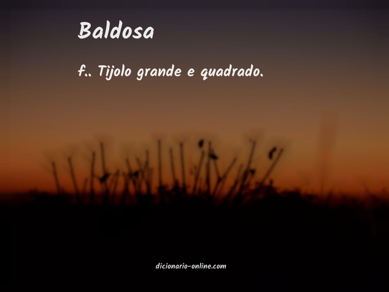 Significado de baldosa