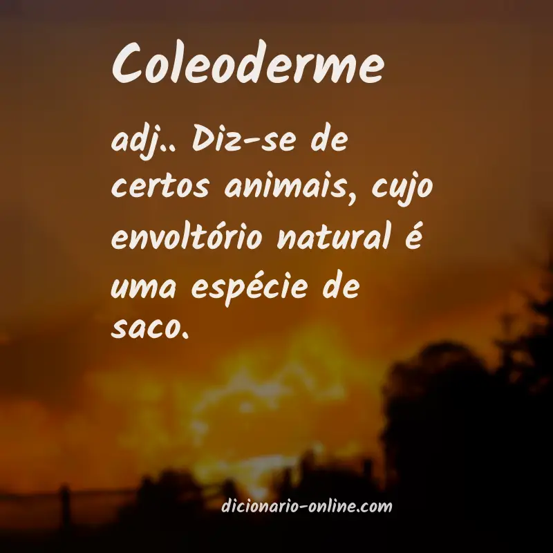 Significado de coleoderme