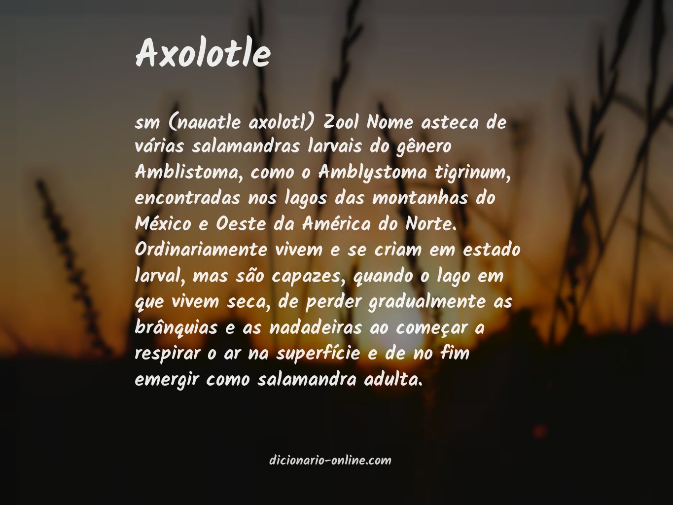 Significado de axolotle