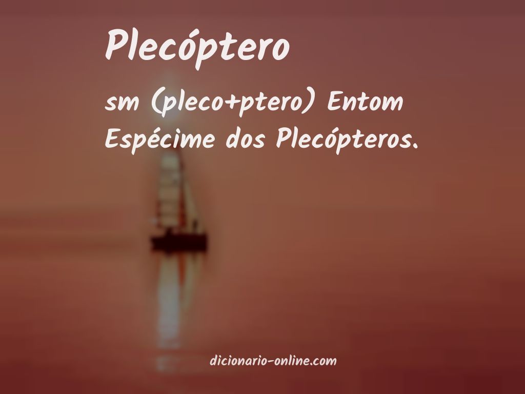 Significado de plecóptero